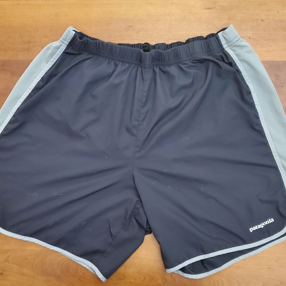 Patagonia, Men's Shorts, Lined, Size 38